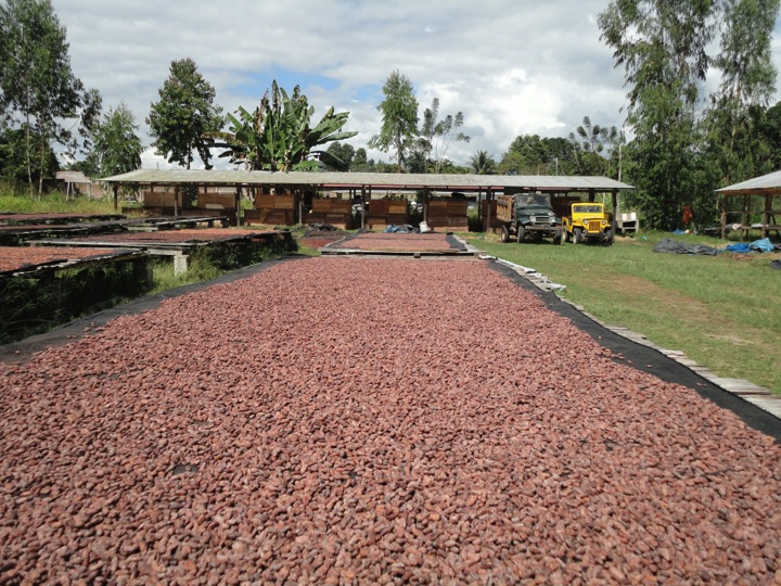 Amazonas Trading Peru SAC